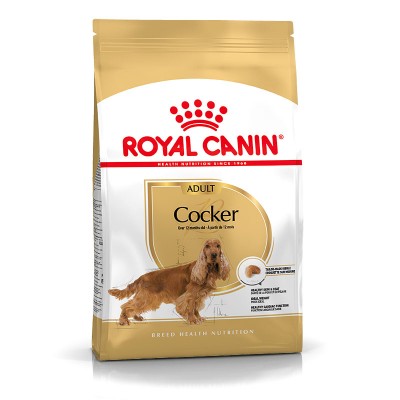 Royal Canin Seca Cocker Adulto